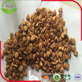 High Quality Bulk Sweet Apricot Kernels